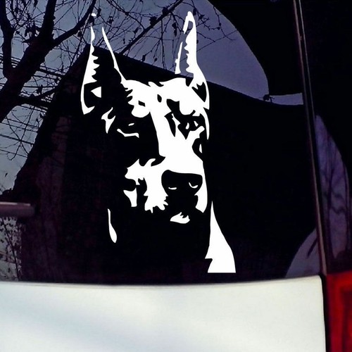 Doberman vinyl die cut - cut, decal
