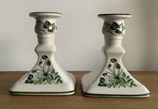 Vintage Taunton Vale Botanical