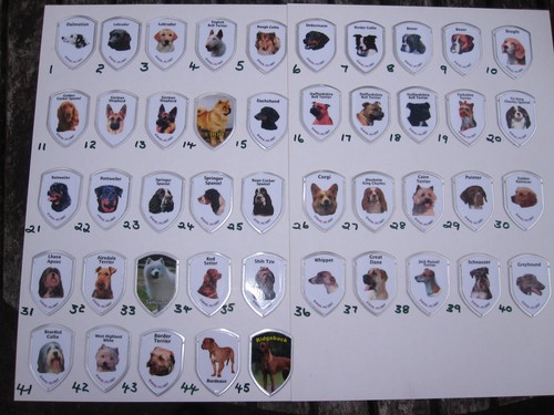 Five aluminium walking stick - five,