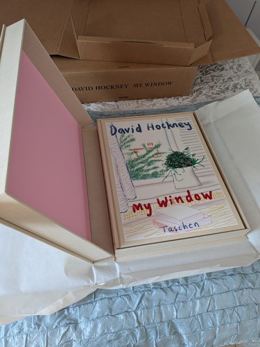 David hockney window - david,
