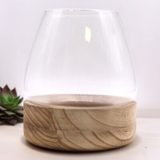 Terrarium Glass & Natural Wood
