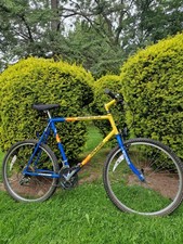 Raleigh Team Mountain Bike