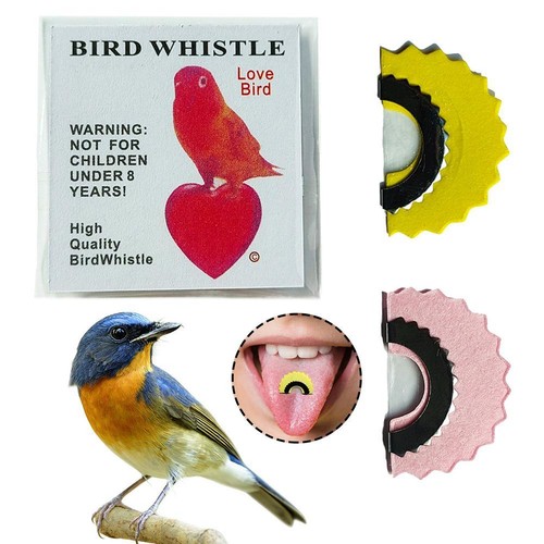 Bird whistle magic fun - bird,