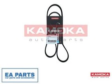 V-Ribbed Belt for CITROËN C4