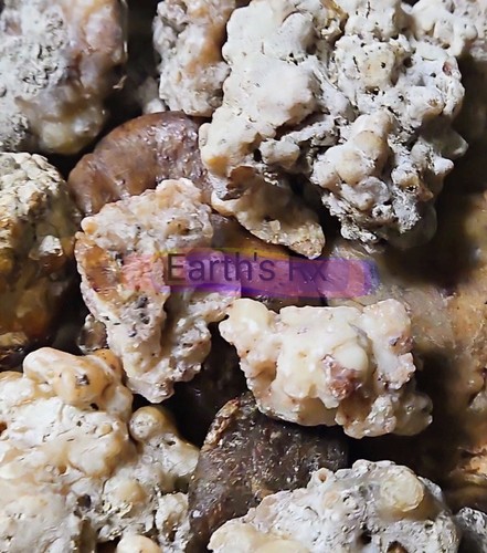 6lbs pure pine resin - ,