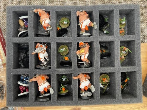 Blood bowl painted team total - bowl,