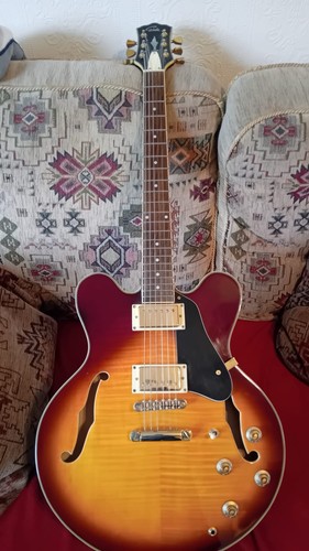Gould semi acoustic guitar - gould,