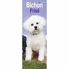 Bichon Frisé Slim Calendar