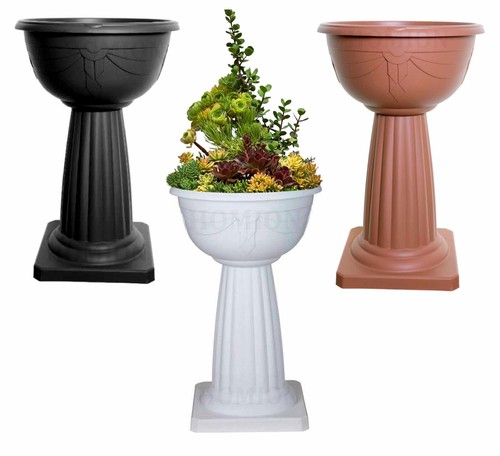 Tall pedestal jardiniere - jardiniere, plant
