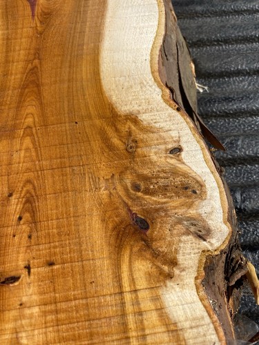 Yew plank - yew, plank,yew,yew