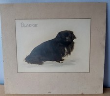 Antique Pekingese Dog Large