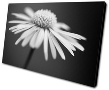 Floral Flowers BOTANICAL