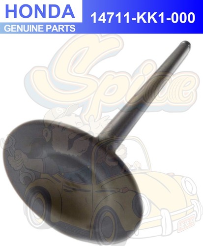 Honda intake valve - intake,