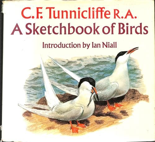 Sketchbook birds c - of, c.f