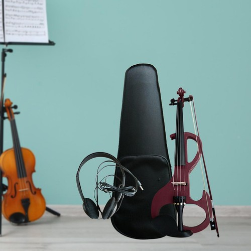 Electric violin and - violin,