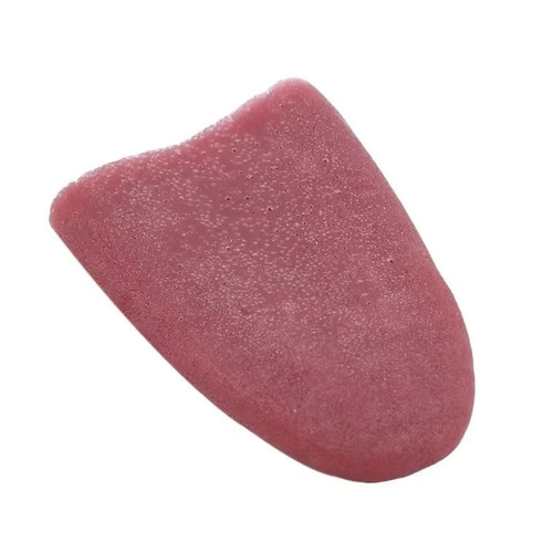 Halloween fake tongue plastic - fake,