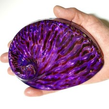 Purple Polished abalone both