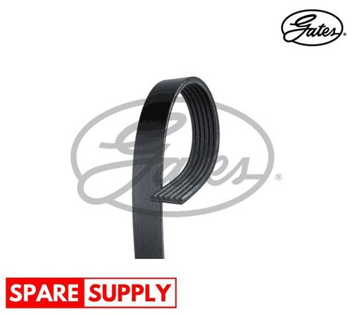 Ribbed belts for ford usa - ford,