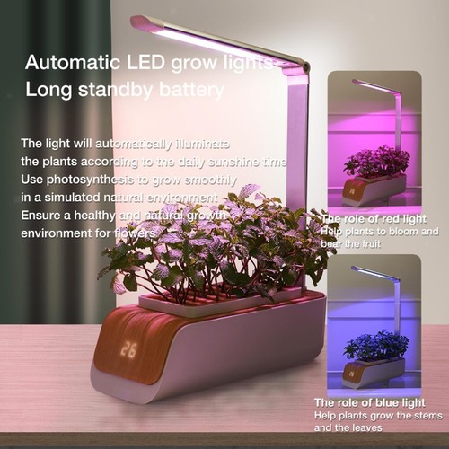 Smart indoor herb garden - indoor,