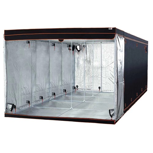 Bay6 hydroponics horticultural - hydroponics,