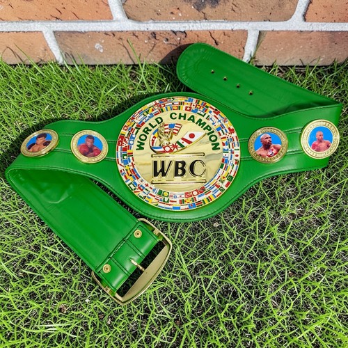 Wbc style boxing championship - boxing,