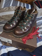 Danner Mens Mountain Trail