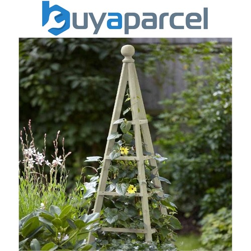 Smart garden sage wooden - garden,
