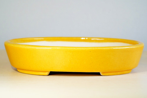 Japanese bonsai pot - japanese, tokoname