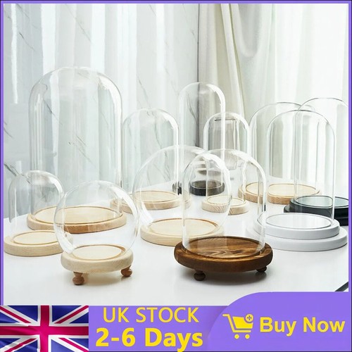 Glass dome display bell - dome,