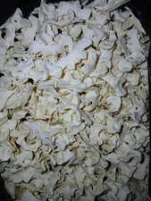 Genuine domestic rabbit craft