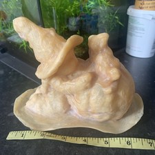 Clearance Halloween Witch pumpkin And cat  Rubber Latex Mould