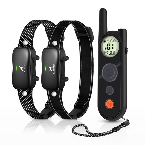 Electric dog fence - dog,