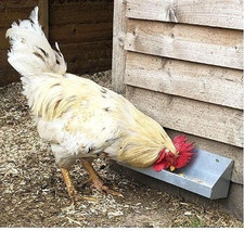 Galvanised Chicken Poultry