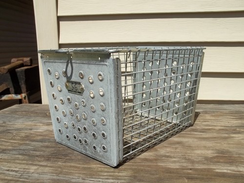 Vintage kaspar wire works - vintage,