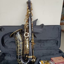 Professional Alto Saxophone