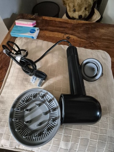 Dog hairdryer - dog,