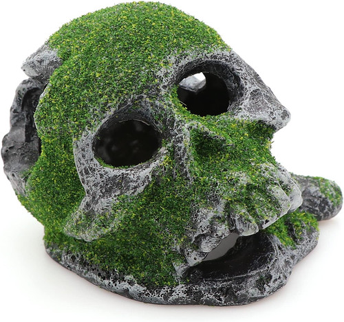 Aquarium landscape head - aquarium,