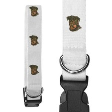 'Rottweiler Dog Portrait' Dog