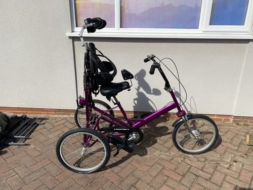 Tom cat trike special needs - cat,