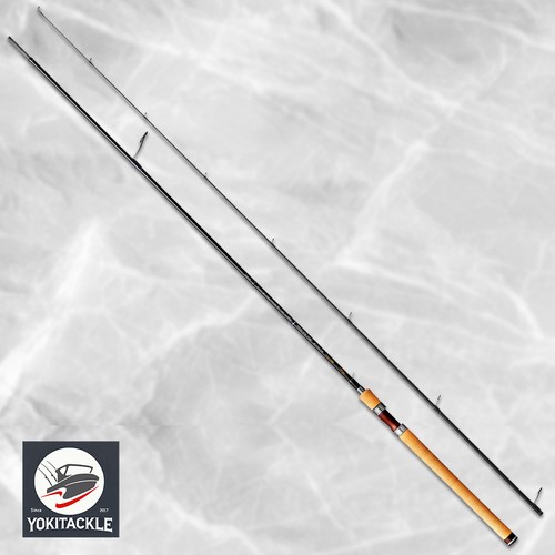 Tenryu 2026 rayz - 2026, spectra