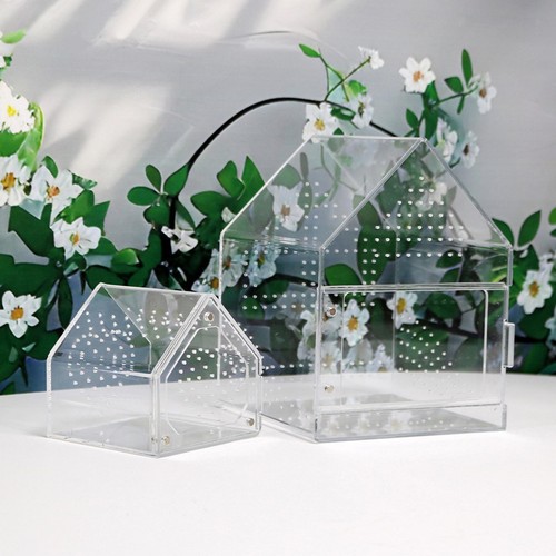 Jumping spider enclosure - spider,