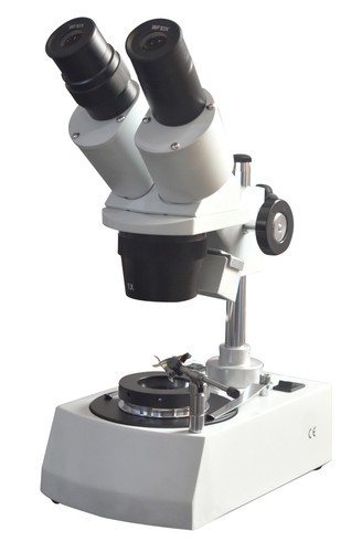 Radical 20x 40x gemology - radical,