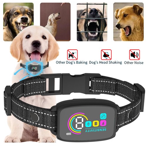 Dog pet training collar - training,
