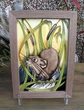 Moorcroft RSPB WATER VOLE