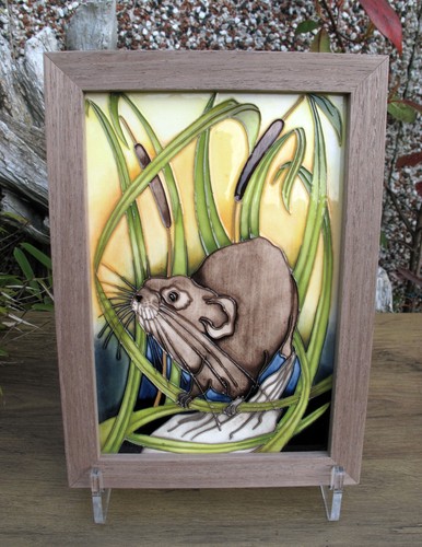 Moorcroft rspb water vole - moorcroft,
