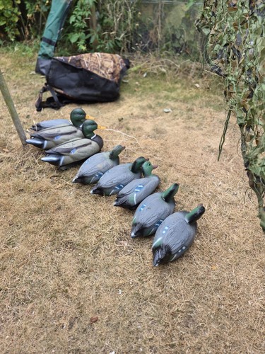 Wildfowling equipment hunting - equipment,