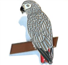 African Grey Parrot On Perch
