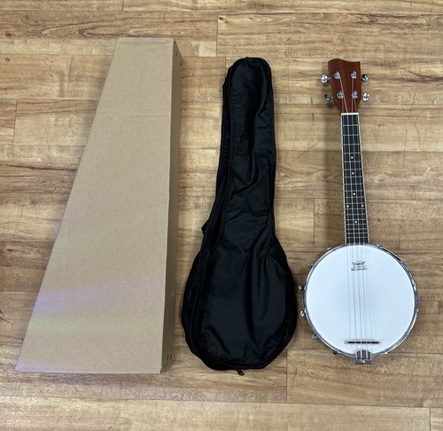 Music concert banjolele - music,