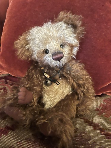 Charlie bears little - charlie, rascal