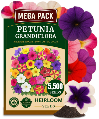 5500 petunia seeds mixed - 5500+,